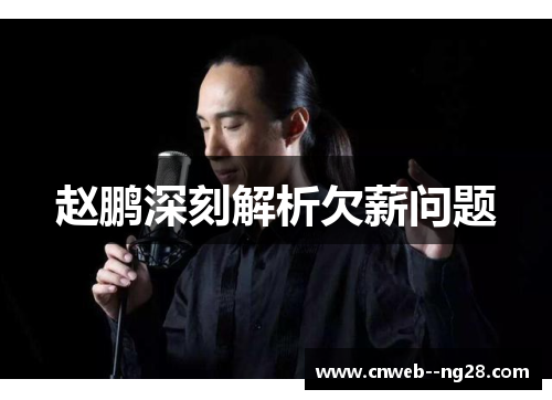 赵鹏深刻解析欠薪问题