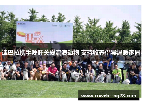 迪巴拉携手呼吁关爱流浪动物 支持收养倡导温暖家园